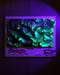 Image of "NEWCOMER" - SMALL Original painting