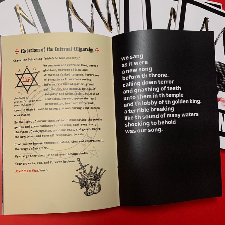 Chimp. Bone. Death. Vol.5 “oops… all NO KINGS” FREE ZINE only pay shipping Image 4