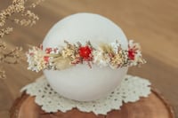 Newborn/Sitter Halo 36