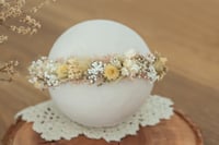 Newborn/Sitter Halo 37