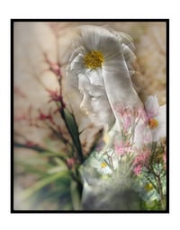 Image 3 of Somewhere in the garden limited edition print