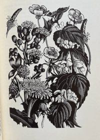 Image 4 of Four Hedges A Gardener's Chronicle by Clare Leighton