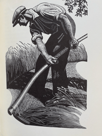 Image 5 of Four Hedges A Gardener's Chronicle by Clare Leighton