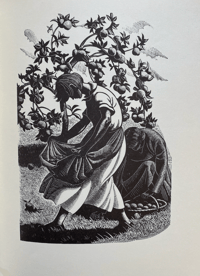 Image 6 of Four Hedges A Gardener's Chronicle by Clare Leighton