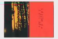 Image 3 of Laura Lafon Cadilhac, Red is over my lover