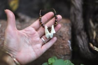 Image 3 of Collana Dente -canide-