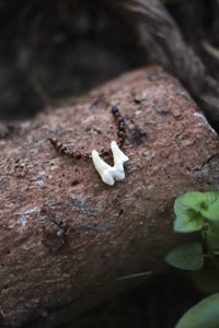 Image 4 of Collana Dente -canide-