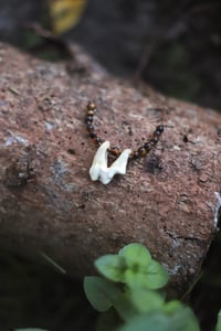 Image 5 of Collana Dente -canide-