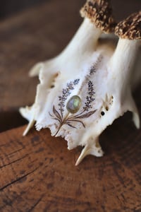 Image 4 of Teschio di Capriolo - Lavanda e Labradorite 