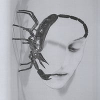 Image 1 of Tortoise - Touch