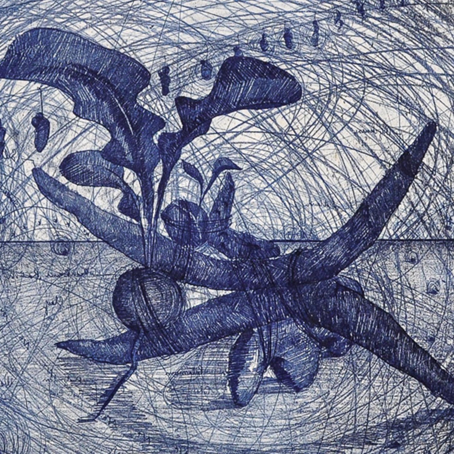 Image of 'Radish, Holley Stone, Electron'