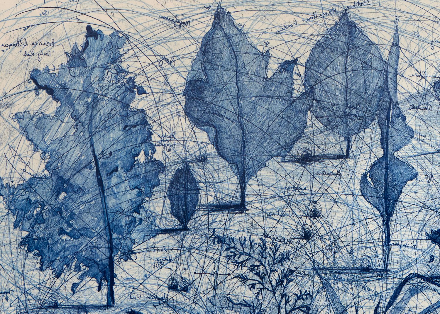 Image of ‘Protozoa, Kale, Voltaire’