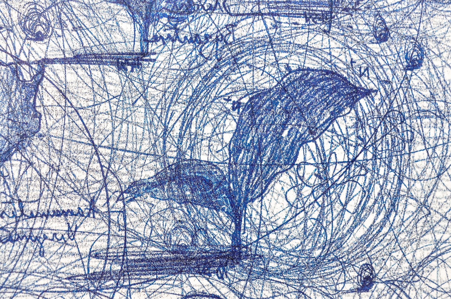 Image of ‘Protozoa, Kale, Voltaire’