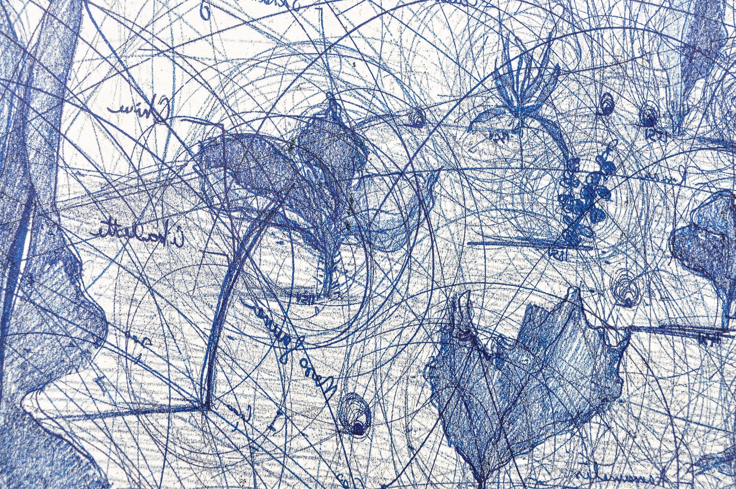 Image of ‘Protozoa, Kale, Voltaire’