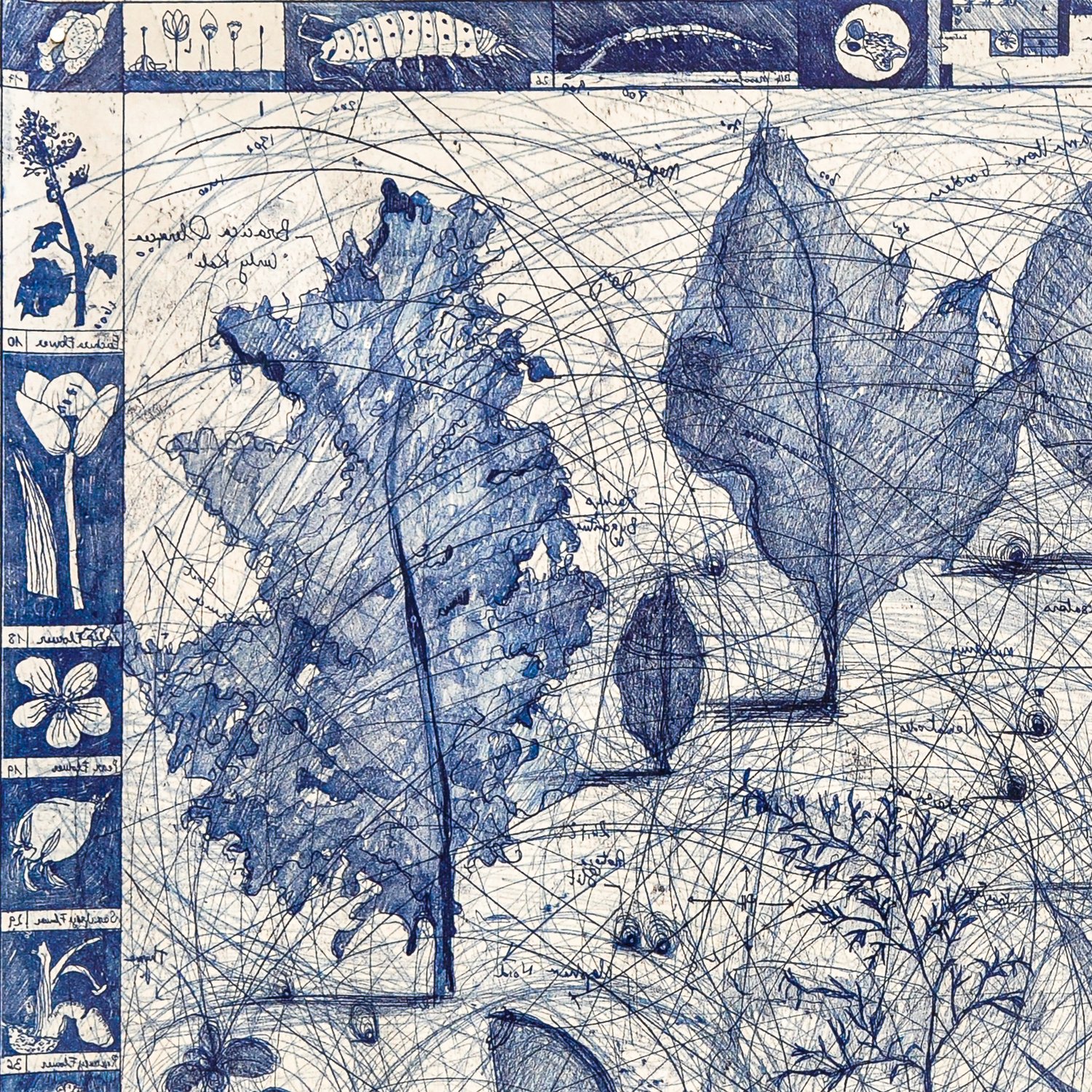 Image of ‘Protozoa, Kale, Voltaire’