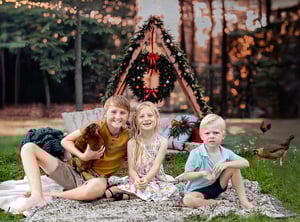 Image of Woodland Holiday Minis