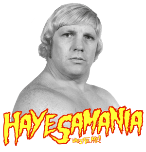 Image of Official Wrestle Me! T-shirt - HAYESAMANIA