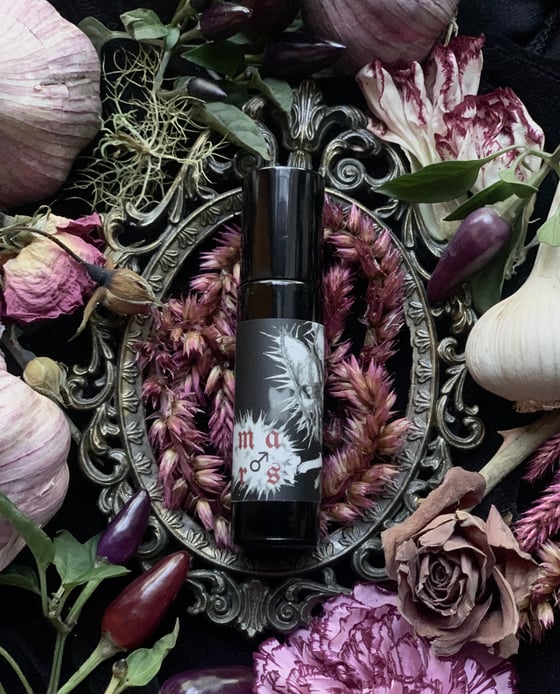 Image of Mars Anointing Oil (Evergreen, Tulsi, Ginger, Pepper)