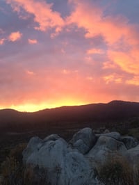 Image 5 of Midsummer Perfume (Blood Orange, Berries, Lemongrass)