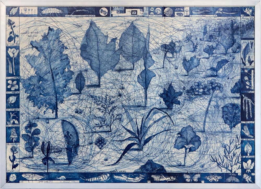 Image of ‘Protozoa, Kale, Voltaire’