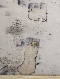 Image 3 of The Language of Leaves: From Root to Thread (1)