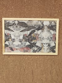 Image 1 of The Language of Leaves : From Root to Thread (3)