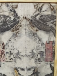 Image 4 of The Language of Leaves : From Root to Thread (3)