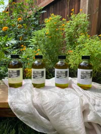 Single Herbal Oil 4 oz