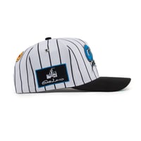 Image 3 of Gas Land Snap Back
