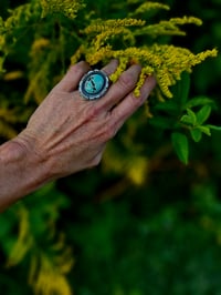 Image 1 of Turquoise and Sterling Ring