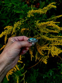 Image 5 of Turquoise and Sterling Ring