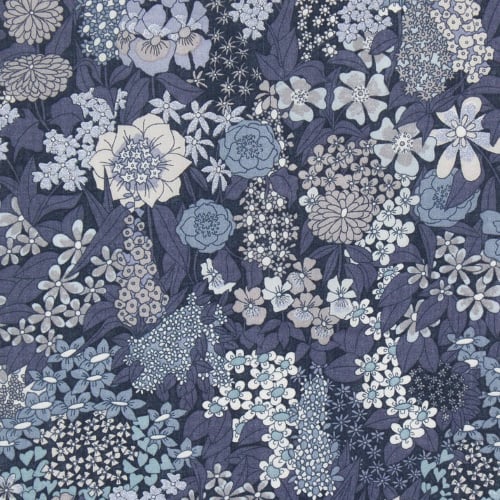 Image of  CIARA ( N )