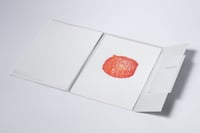 Image 3 of Feeling the Underside