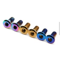 Image 5 of ETM RTR Titanium Brake Rotor Bolt Set