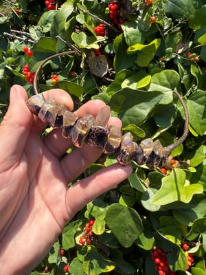 Aura Coated Quartz Copper Crown/Tiara