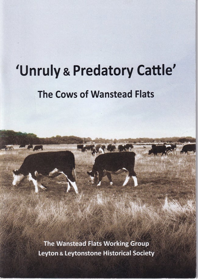 Unruly & Predatory Cattle