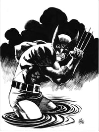Wolverine 25