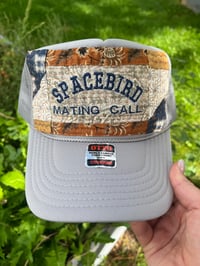 Image 1 of SpaceBirdMatingCall