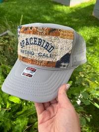 Image 2 of SpaceBirdMatingCall