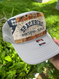 Image 3 of SpaceBirdMatingCall