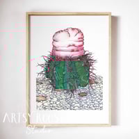 Little Turk's Cap, ORIGINAL Ink & Pencil on Paper, approx 9"x12"