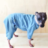 Image 1 of Sweat Suit - Dusky Sky Blue