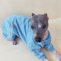 Image 2 of Sweat Suit - Dusky Sky Blue