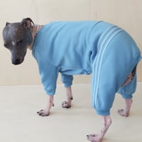 Image 3 of Sweat Suit - Dusky Sky Blue
