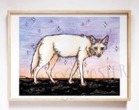 Image 1 of Red Desert Wolf, Fine Art Giclée Archival Print