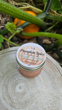 Image of Seasonal Pumpkin Spice & Everything Nice Face & body anti-aging cream