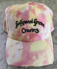Image 1 of Hollywood forever sherbert dad cap