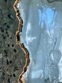 Image 5 of Evergreen Coast