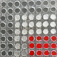 Image 3 of RETICULA RADIAL 4