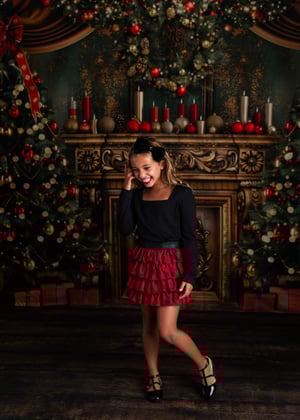 Image of Santa Experience in an Elegant Christmas Living Room - 11/2